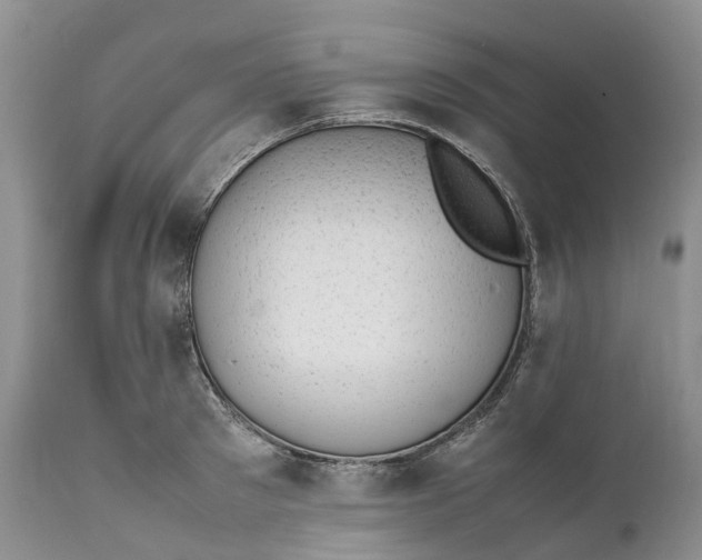 X0000111390897200907241331