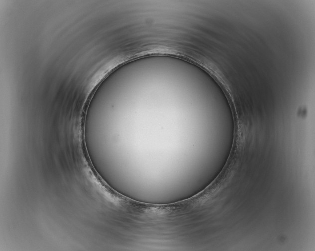 X0000111390898200907241331