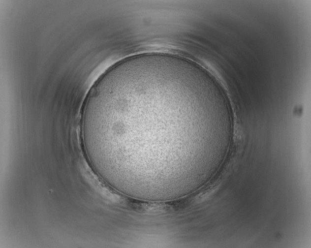 X0000111390899200907241331