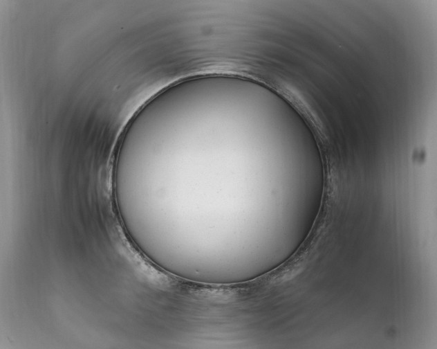 X0000111390900200907241331