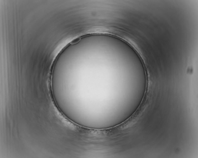 X0000111390901200907241331