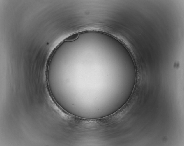 X0000111390902200907241331