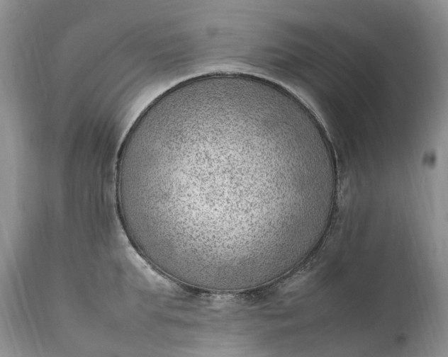 X0000111390903200907241331