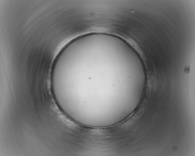 X0000111390904200907241331