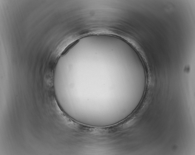 X0000111390905200907241331