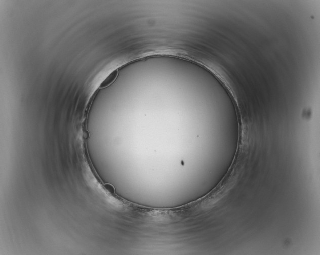 X0000111390906200907241331