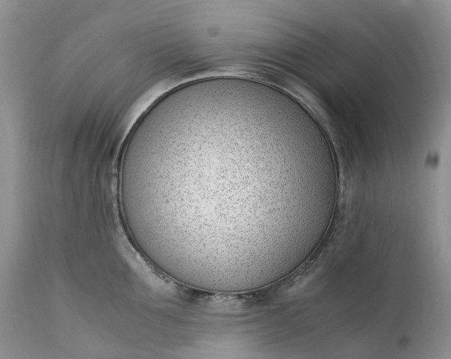 X0000111390907200907241331