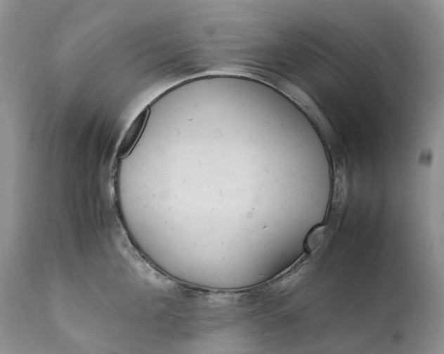 X0000111390908200907241331