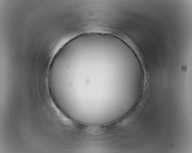 X0000111390909200907241331