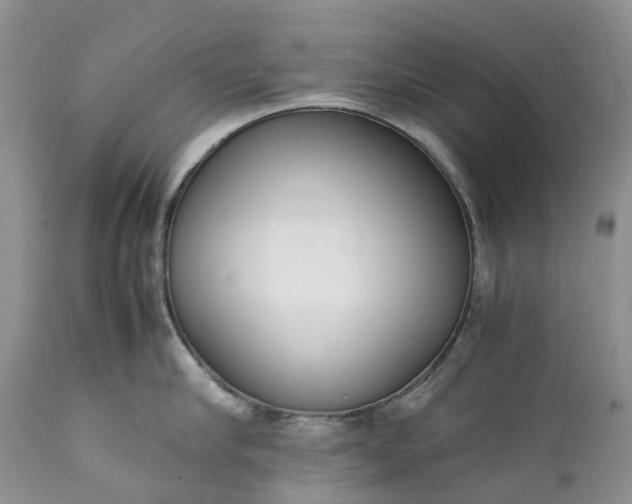 X0000111390910200907241331