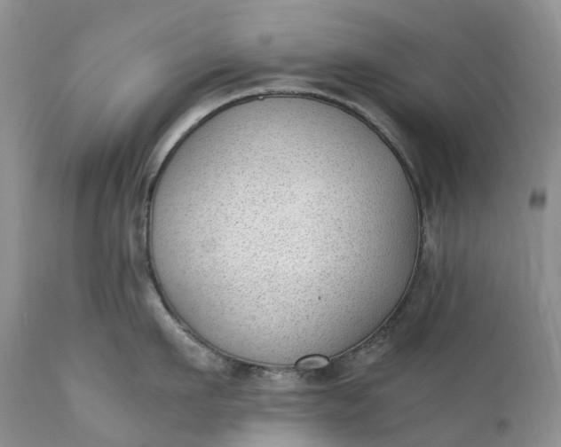 X0000111390911200907241331