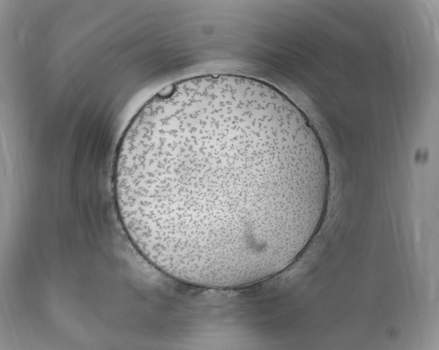 X0000111390912200907241331