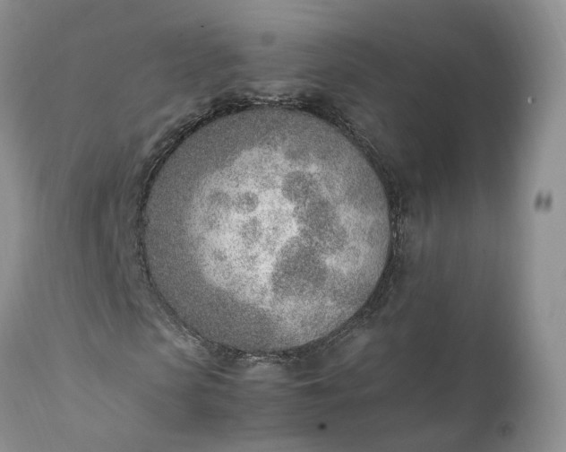 X0000111390913200907241330