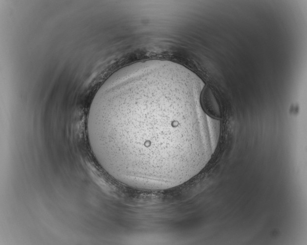 X0000111390914200907241330