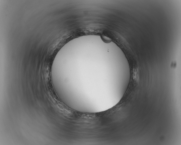 X0000111390915200907241330