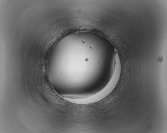 X0000111390916200907241330