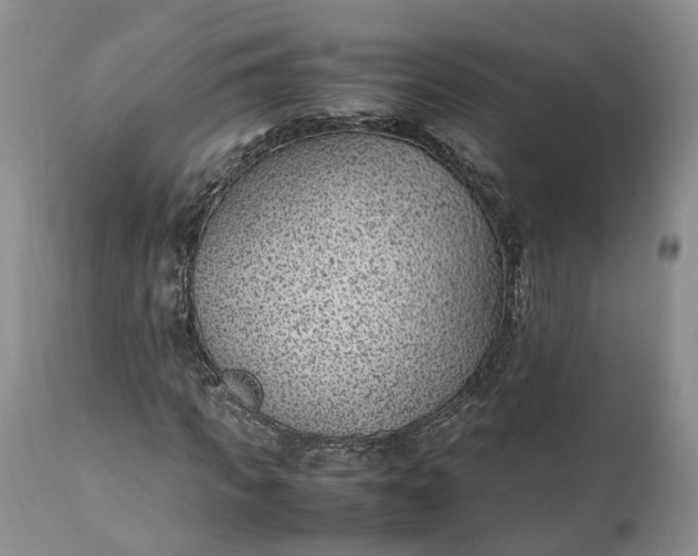 X0000111390917200907241330