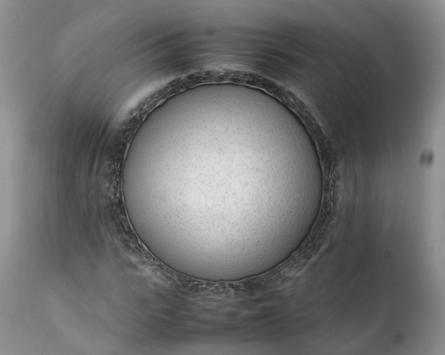 X0000111390919200907241330