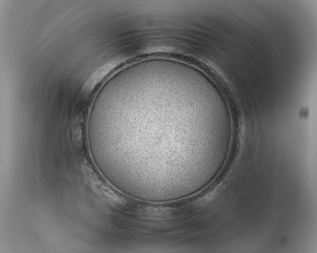 X0000111390921200907241330