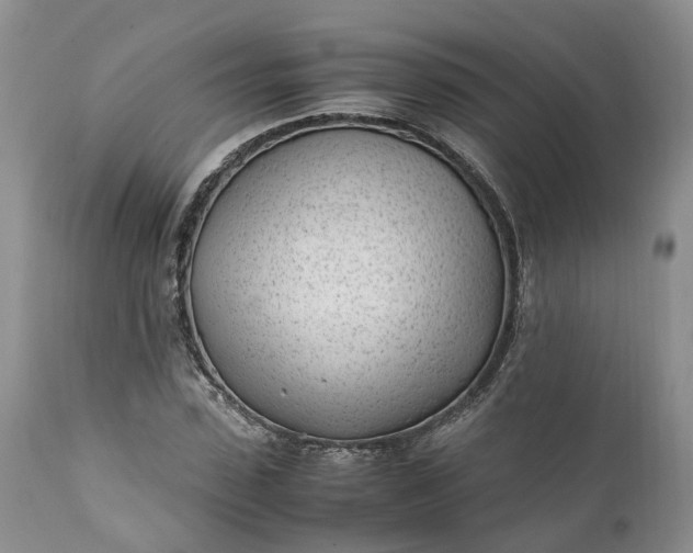 X0000111390923200907241330