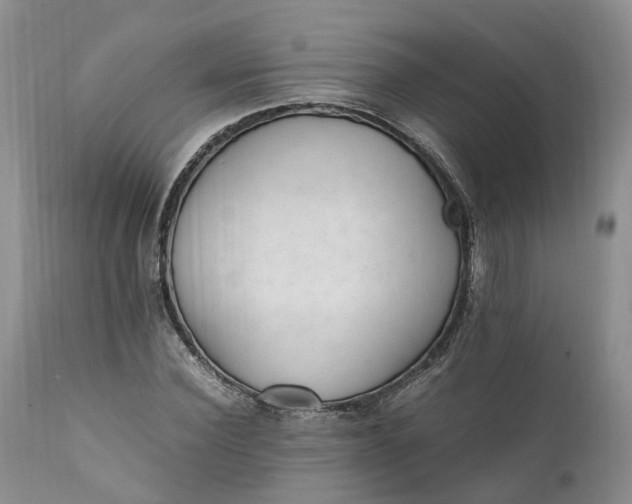 X0000111390924200907241330