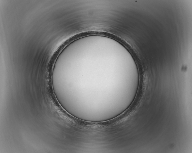 X0000111390926200907241330