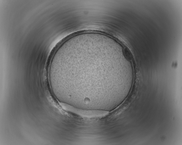 X0000111390928200907241330