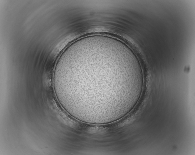 X0000111390929200907241330