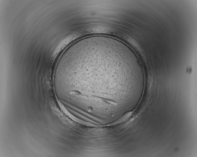 X0000111390930200907241330