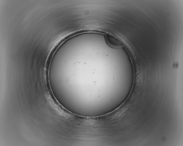 X0000111390932200907241330