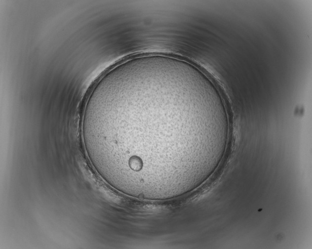 X0000111390933200907241330