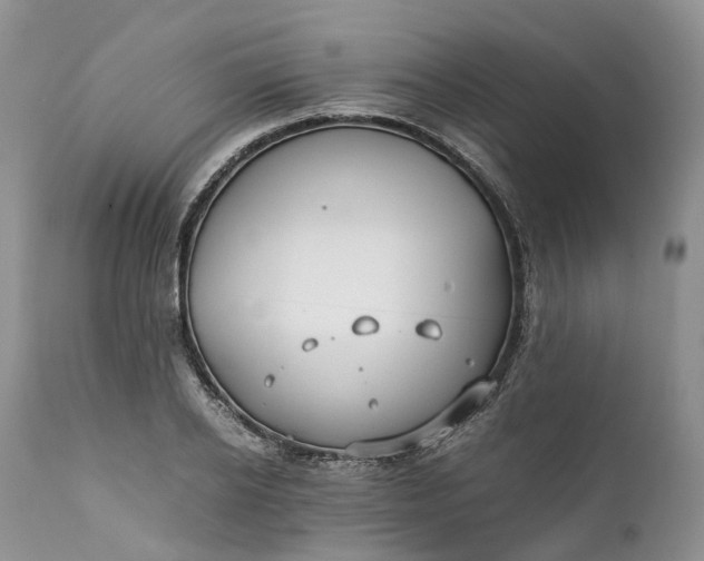 X0000111390934200907241330