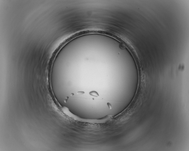 X0000111390935200907241330