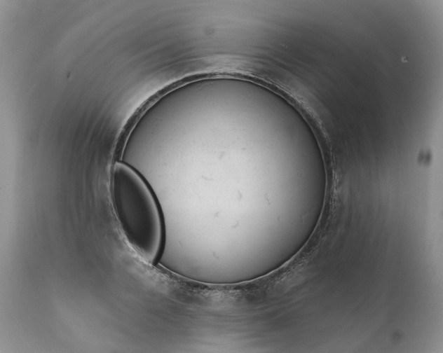 X0000111390936200907241330