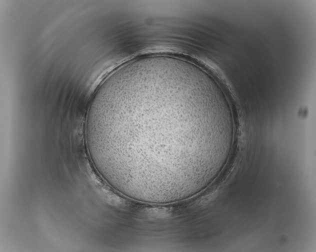 X0000111390937200907241330