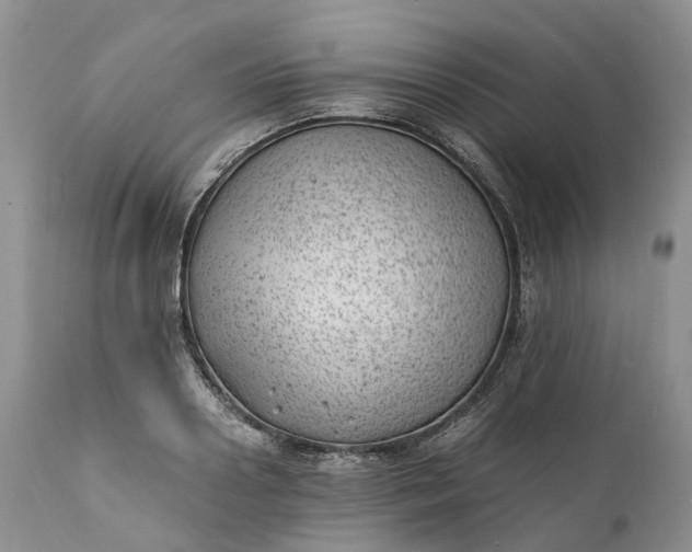 X0000111390938200907241330