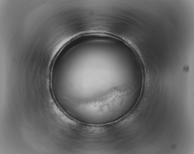 X0000111390941200907241330