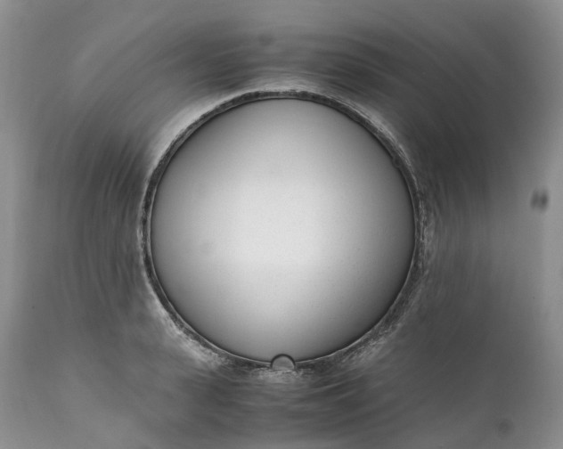 X0000111390943200907241330