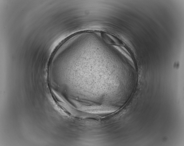 X0000111390944200907241330