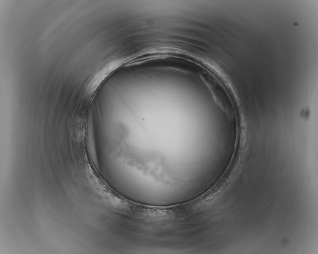 X0000111390945200907241330