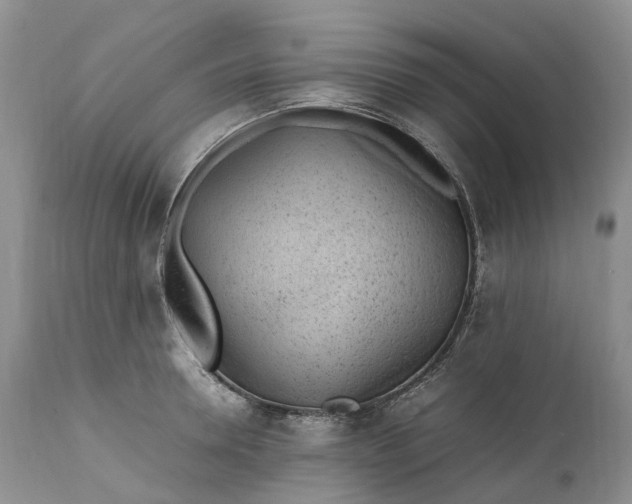 X0000111390946200907241330