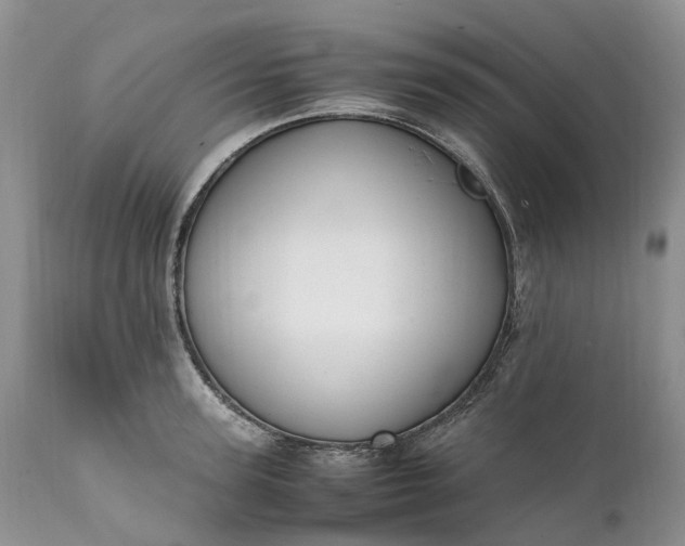 X0000111390947200907241330