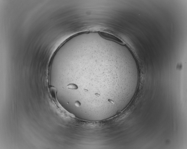 X0000111390948200907241330