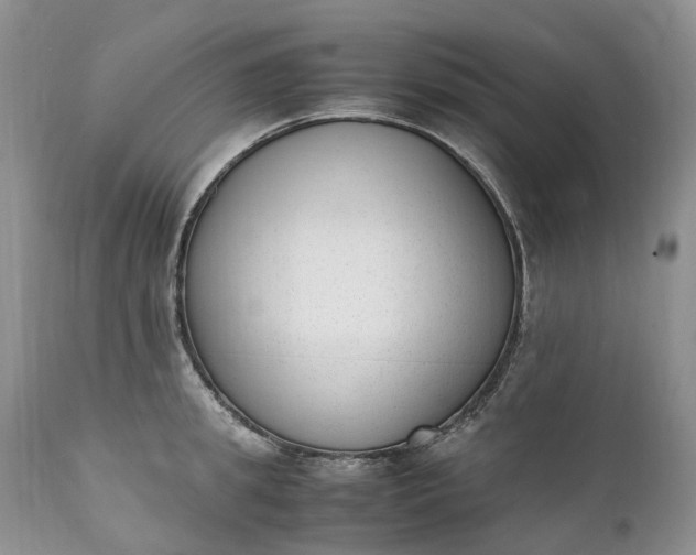 X0000111390949200907241330