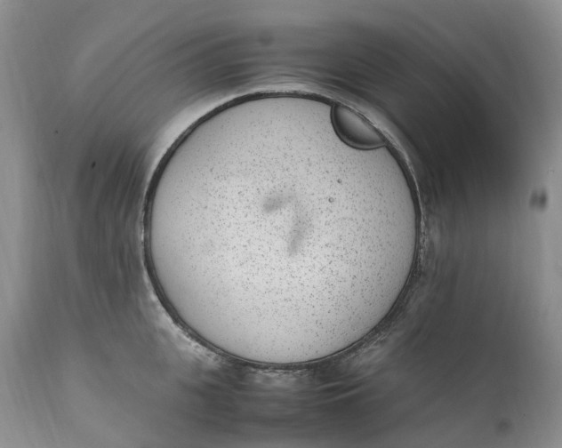 X0000111390951200907241330