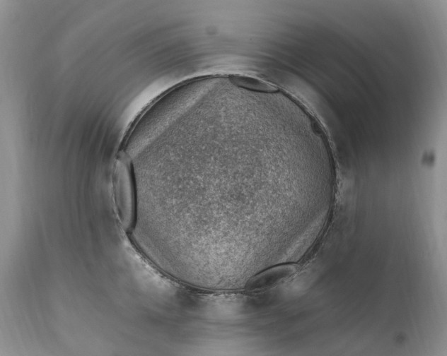 X0000111390952200907241331