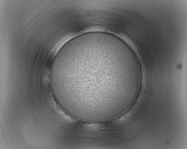 X0000111390953200907241331