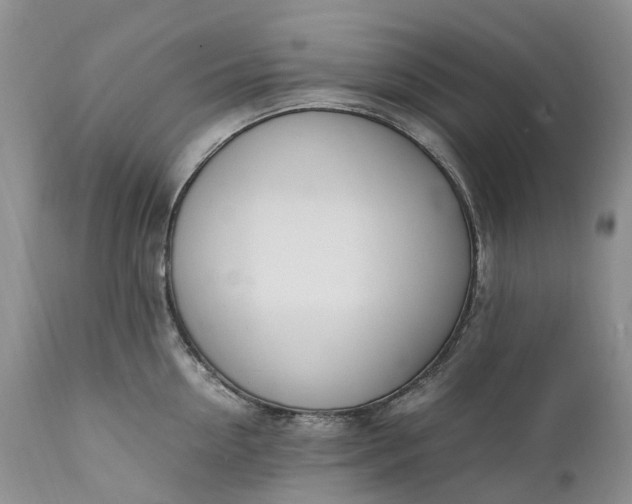 X0000111390954200907241331