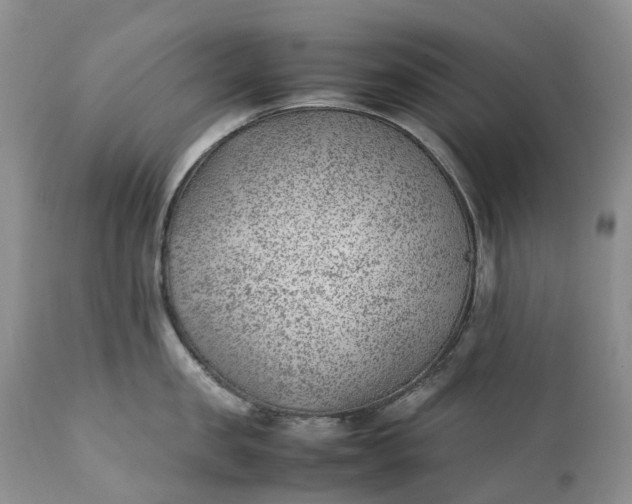 X0000111390957200907241331