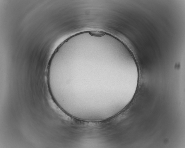 X0000111390958200907241331